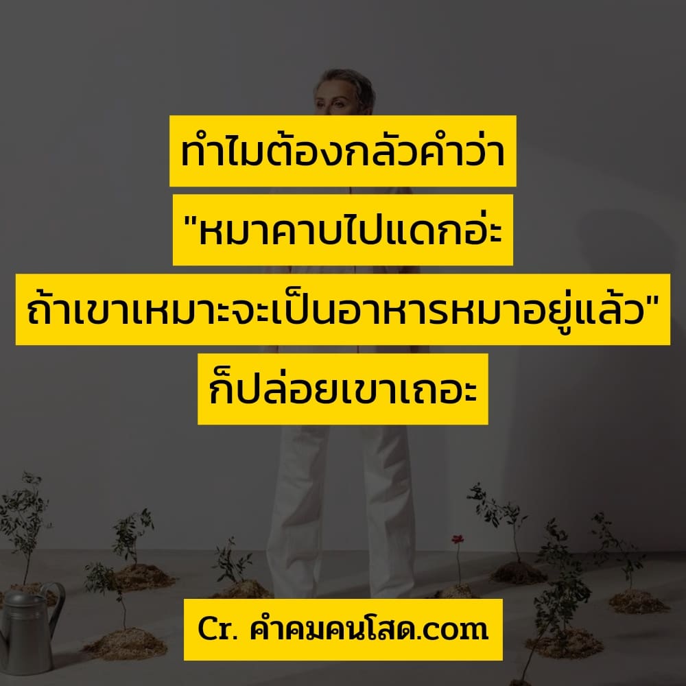 คำคมซึ้งๆ 106 คําพูดดีๆสั้นๆ การ ที่ไม่รู้สึกเสียใจเพราะไม่ได้ใส่ใจตั้งแต่เเรก